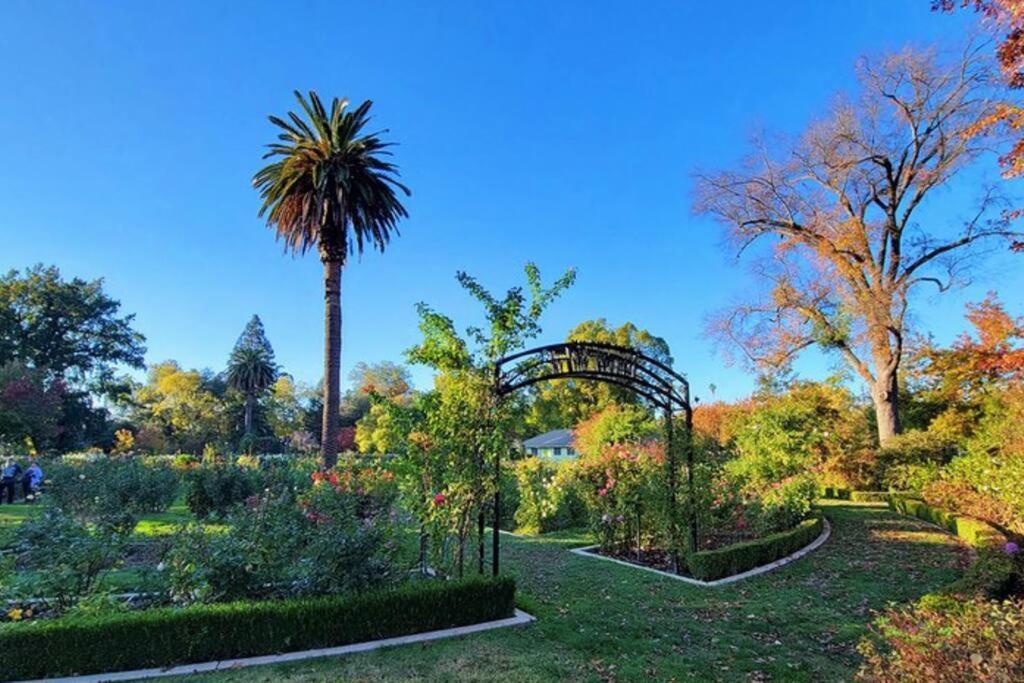 Artist'S Retreat Near The Heart Of The City Sacramento Exteriér fotografie
